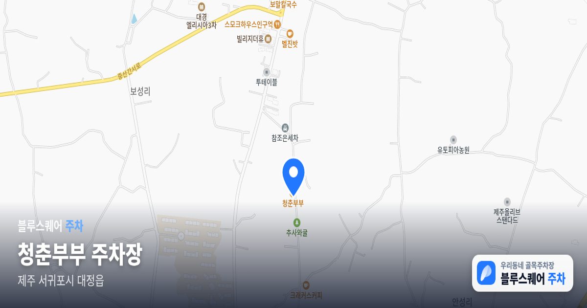 청춘부부 주차장 위치 지도