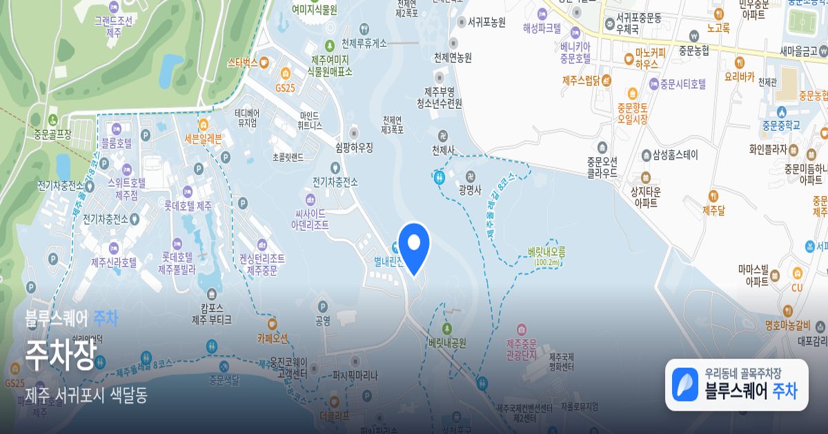 주차장 위치 지도