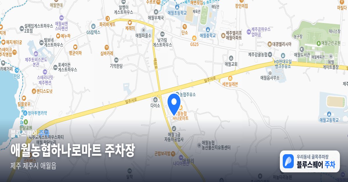 애월농협하나로마트 주차장 위치 지도