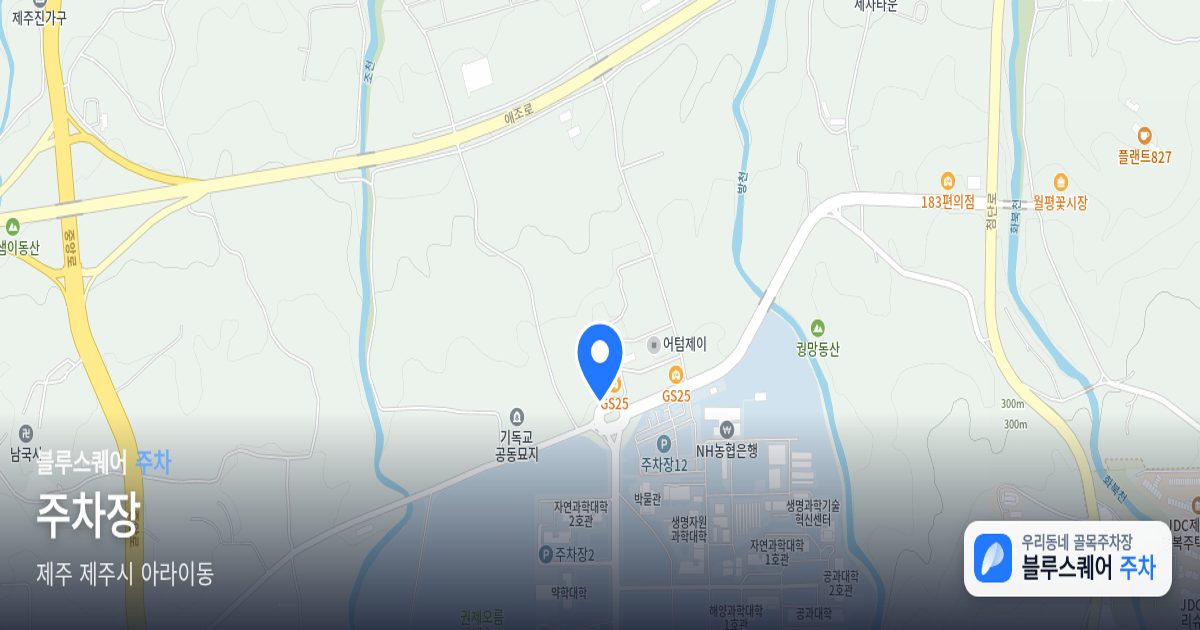 주차장 위치 지도