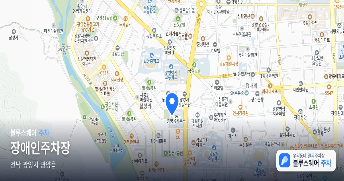장애인주차장 위치 지도