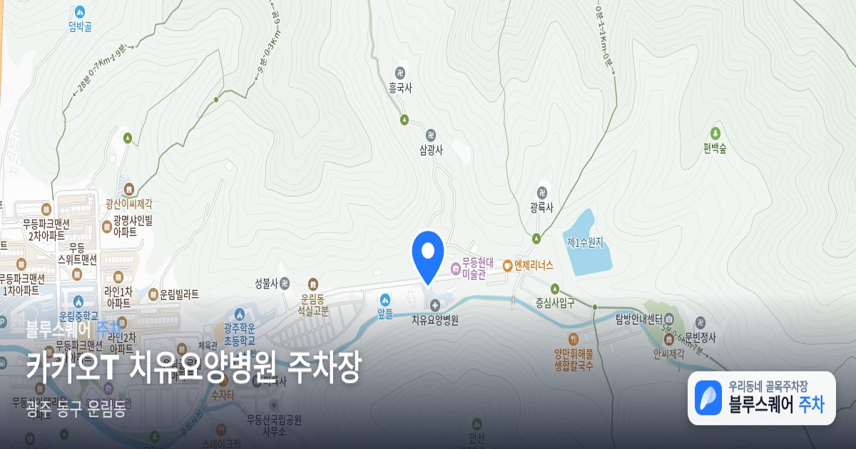 카카오T 치유요양병원 주차장 위치 지도