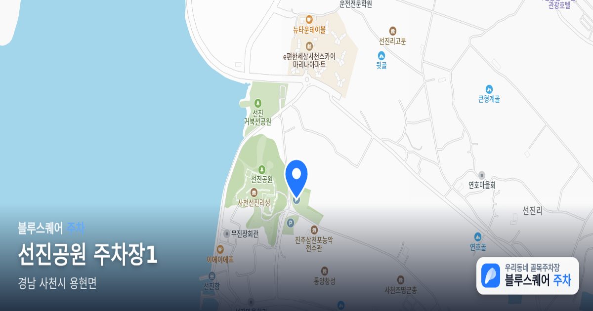 선진공원 주차장1 위치 지도