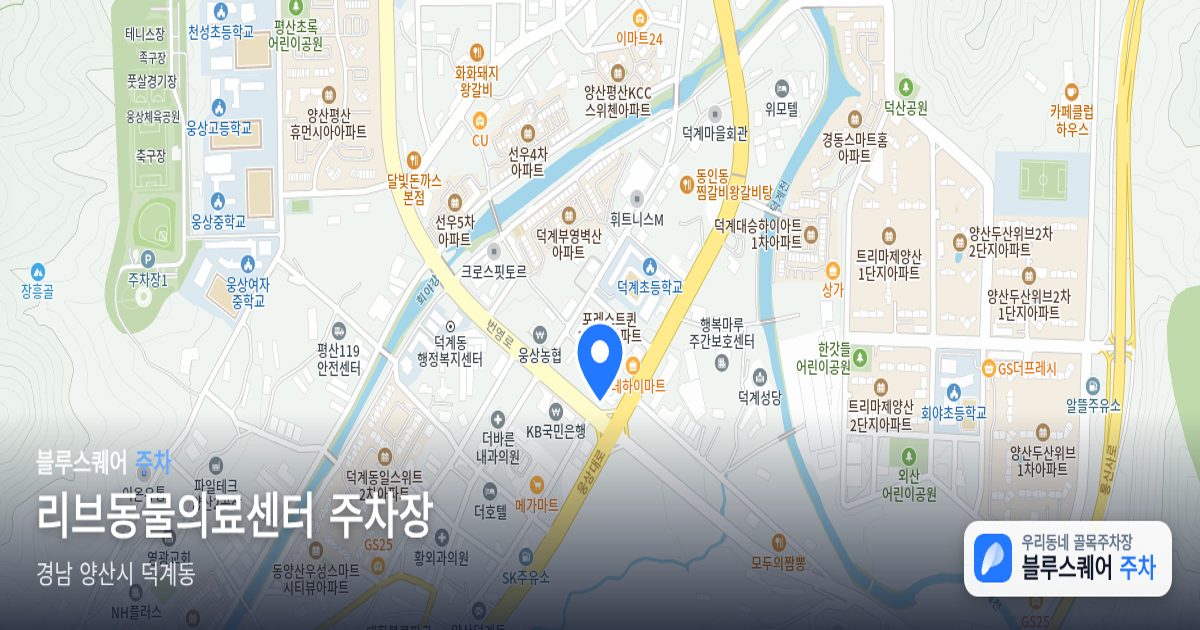 리브동물의료센터 주차장 위치 지도