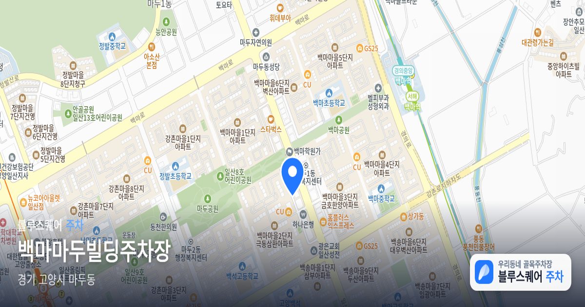 백마마두빌딩주차장 위치 지도