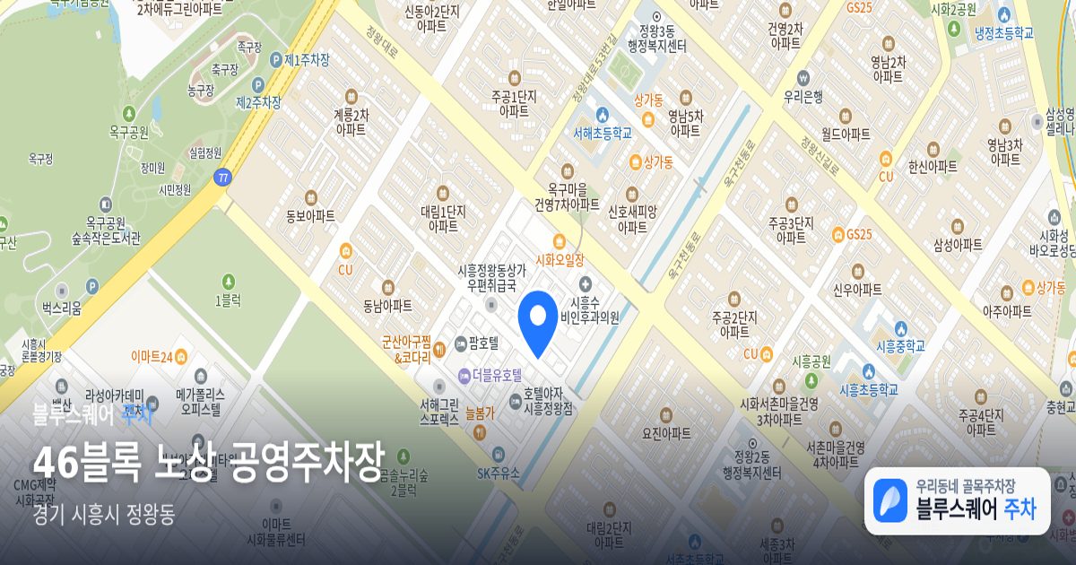 46블록 노상 공영주차장 위치 지도