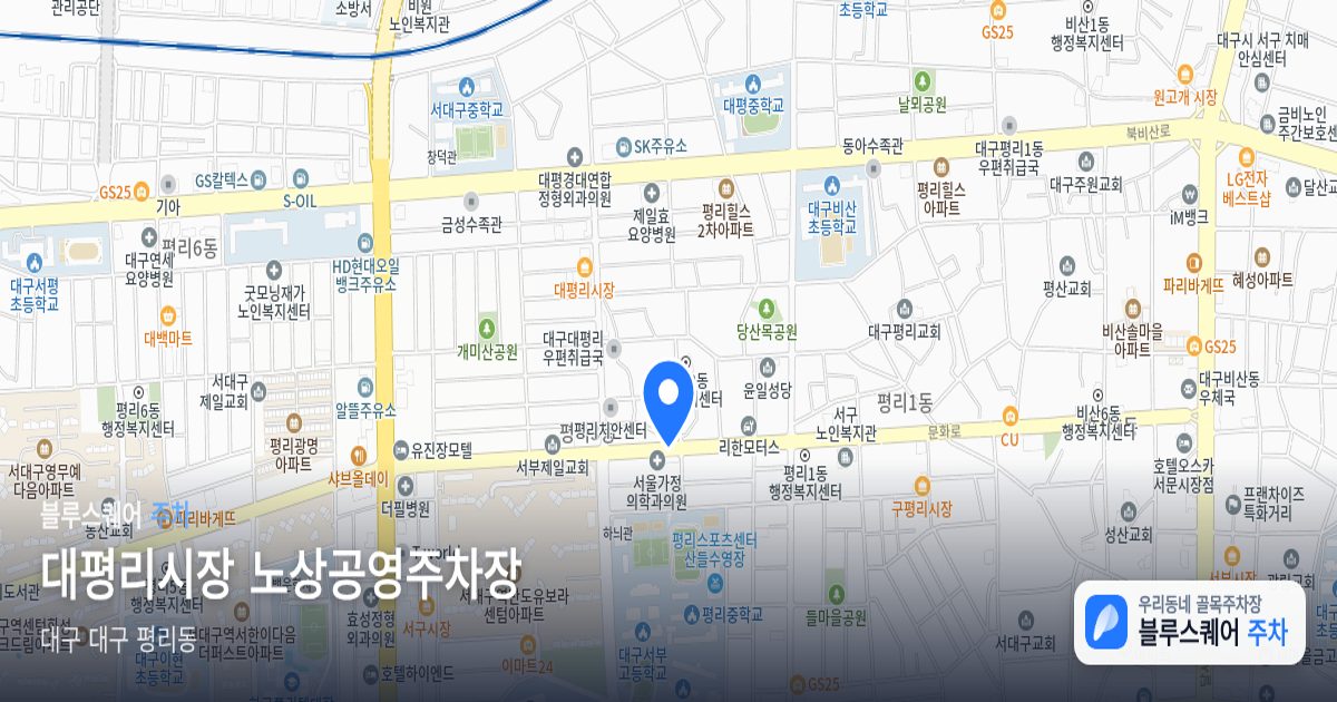 대평리시장 노상공영주차장 위치 지도