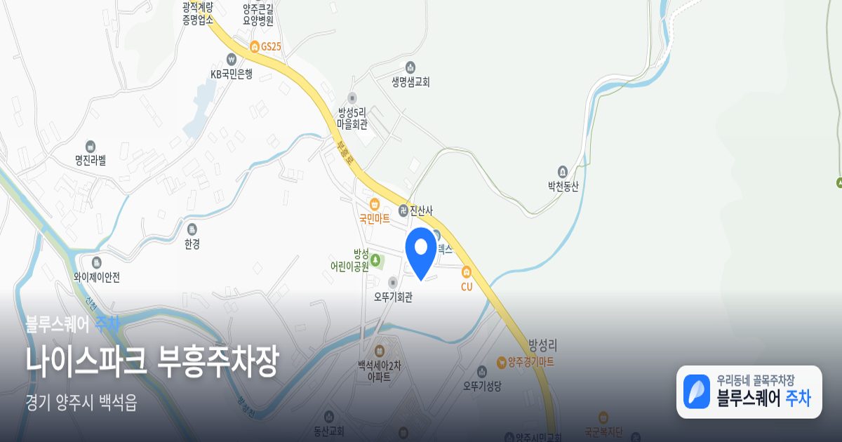 나이스파크 부흥주차장 위치 지도