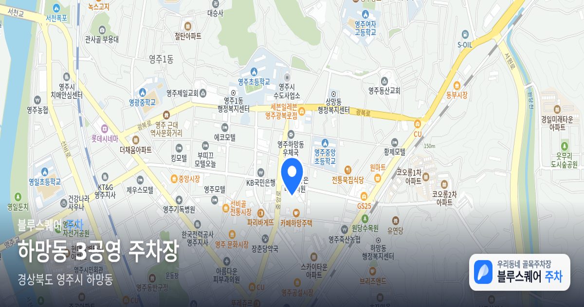 하망동 3공영 주차장 위치 지도