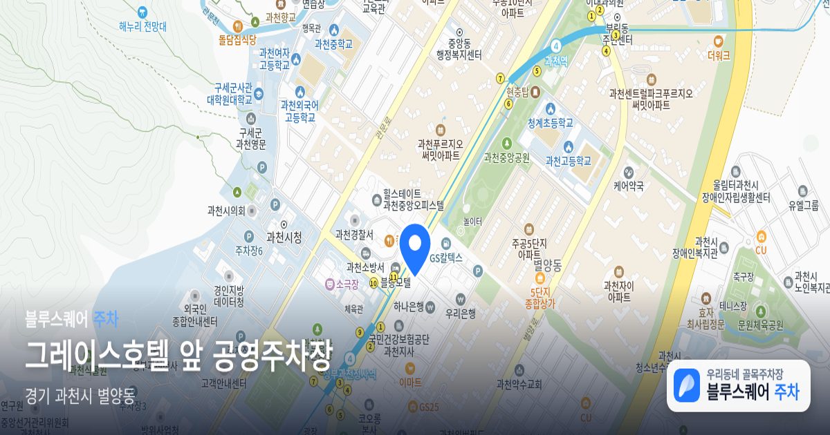 그레이스호텔 앞 공영주차장 위치 지도