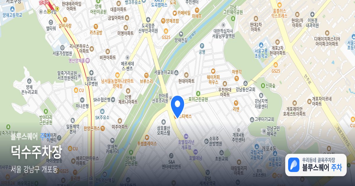 덕수주차장 위치 지도