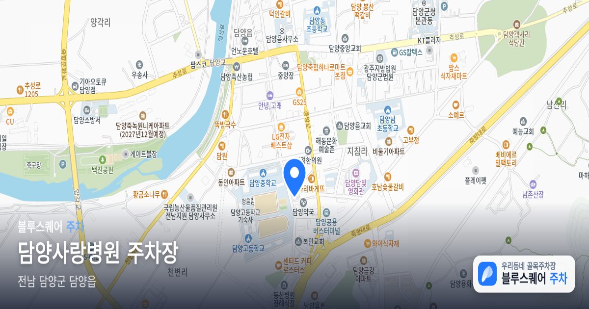 담양사랑병원 주차장 위치 지도