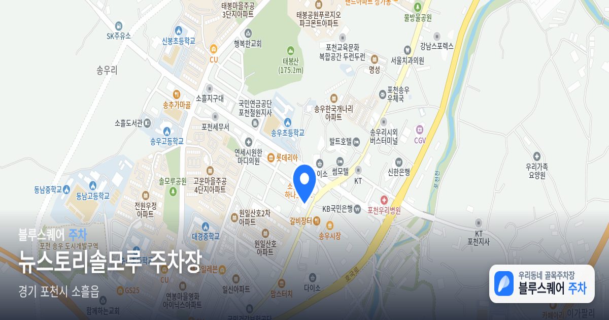 뉴스토리솔모루 주차장 위치 지도