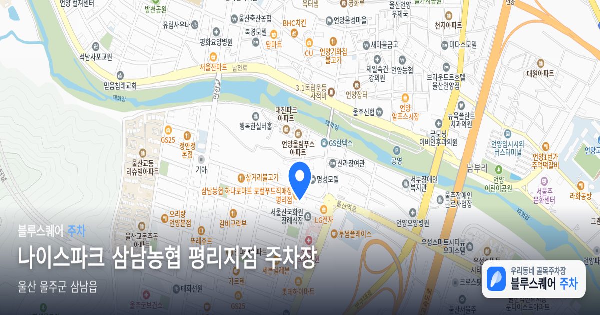 나이스파크 삼남농협 평리지점 주차장 위치 지도