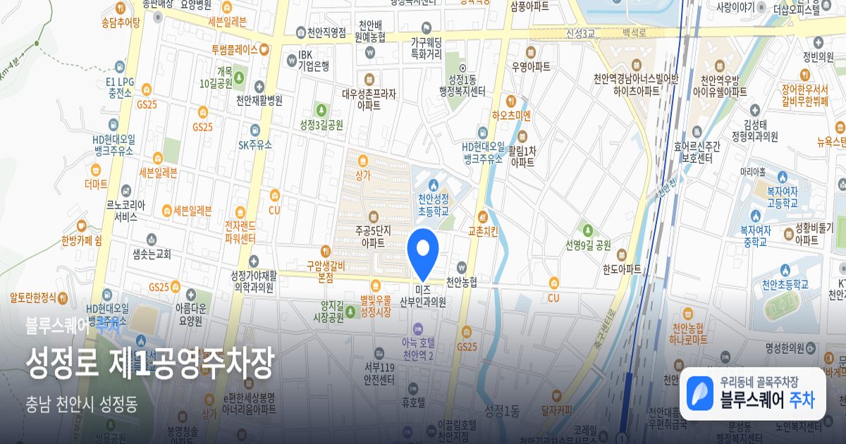 성정로 제1공영주차장 위치 지도