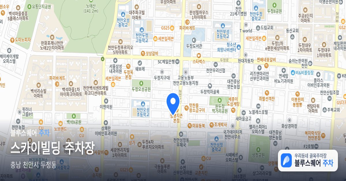 스카이빌딩 주차장 위치 지도