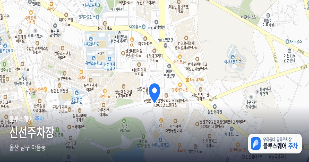 신선주차장 위치 지도