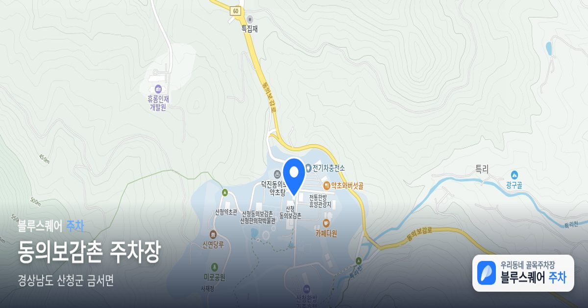 동의보감촌 주차장 위치 지도