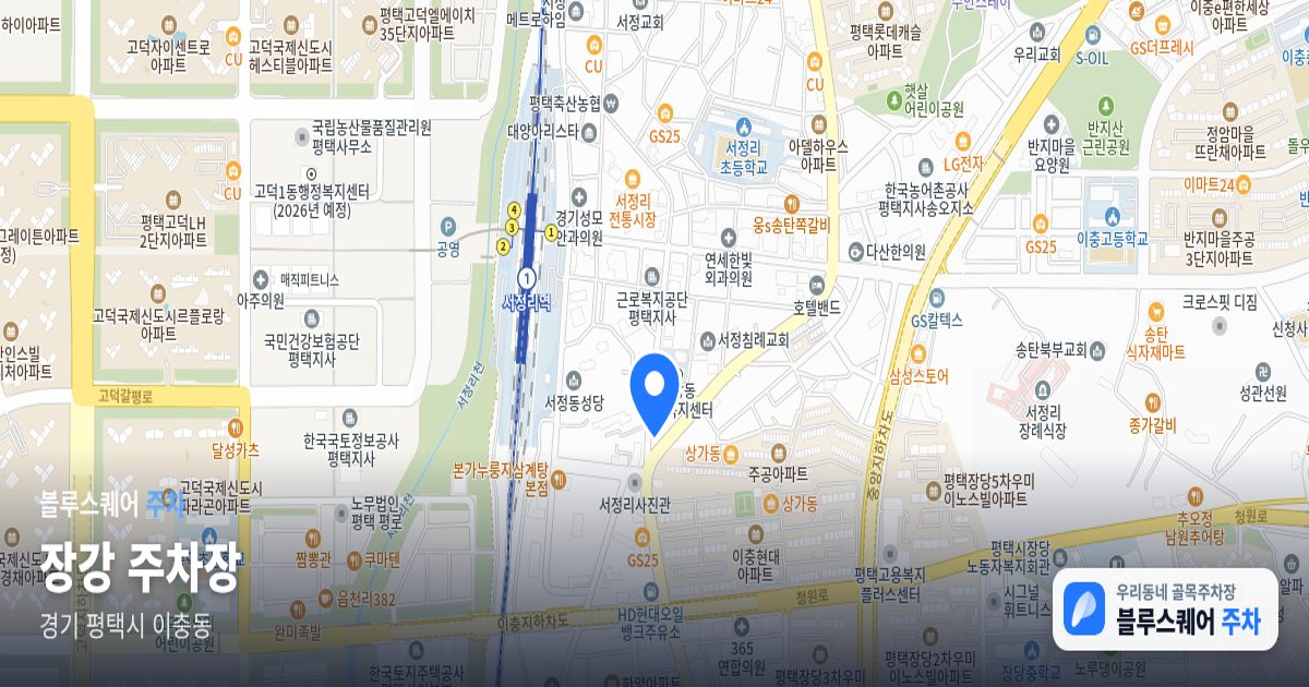 장강 주차장 위치 지도