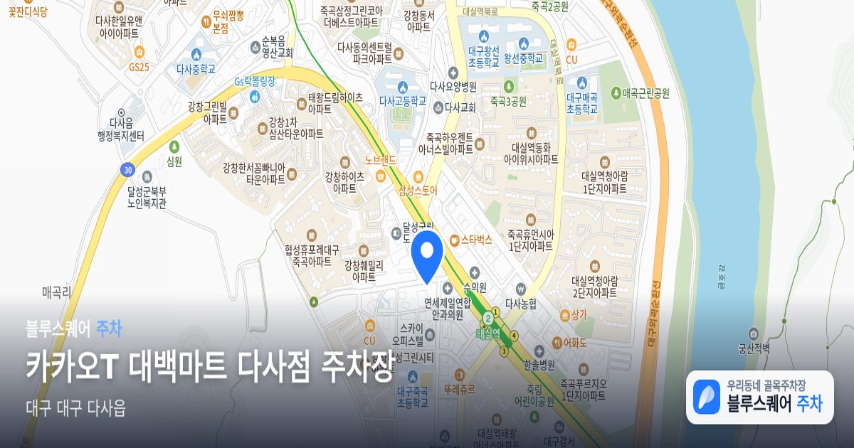 카카오T 대백마트 다사점 주차장 위치 지도