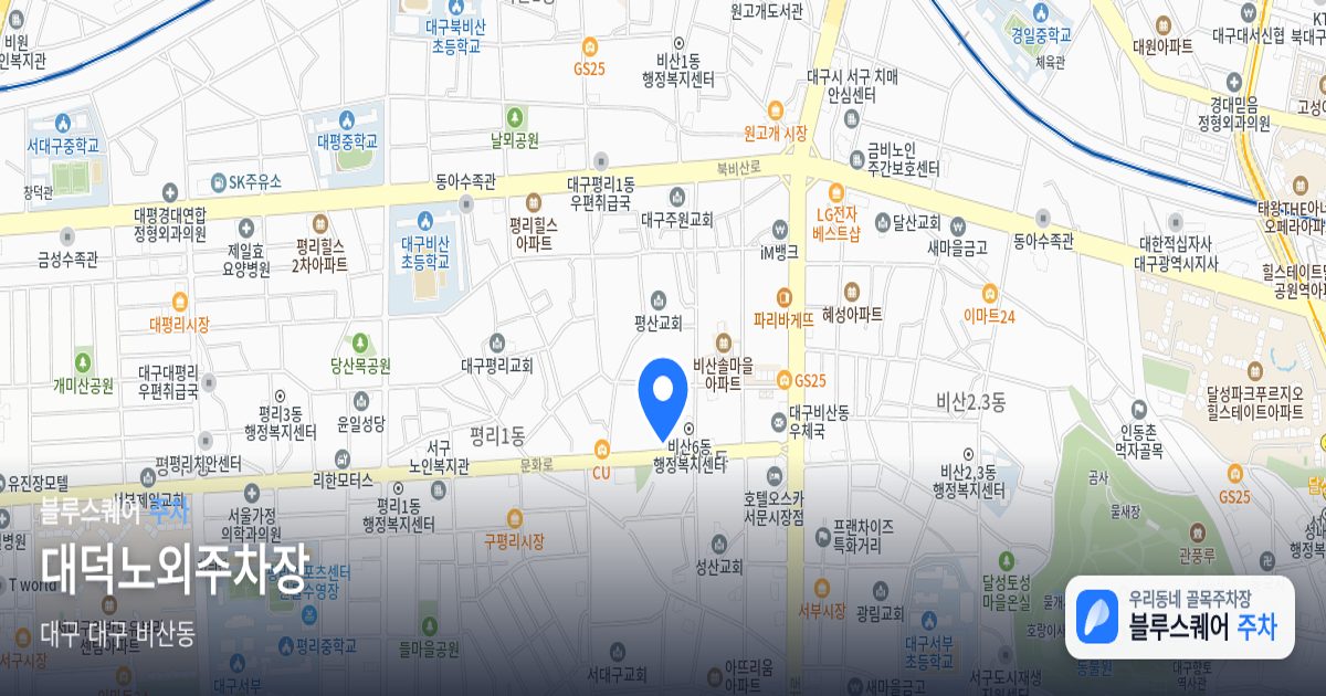 대덕노외주차장 위치 지도