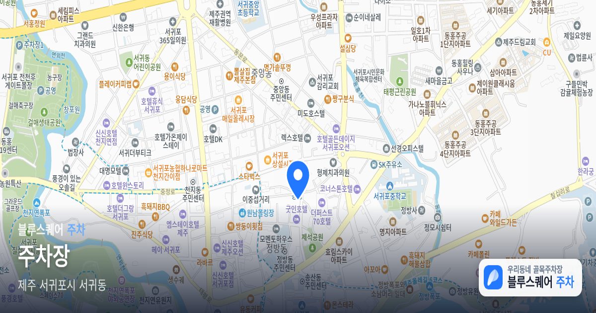 주차장 위치 지도