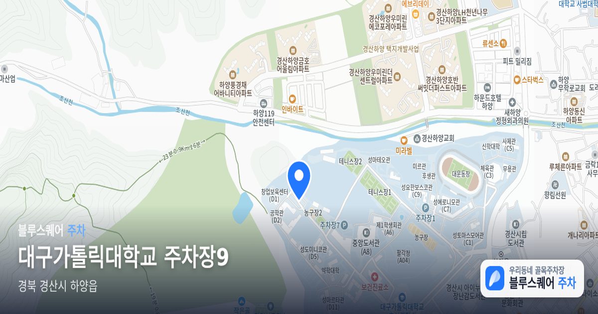 대구가톨릭대학교 주차장9 위치 지도