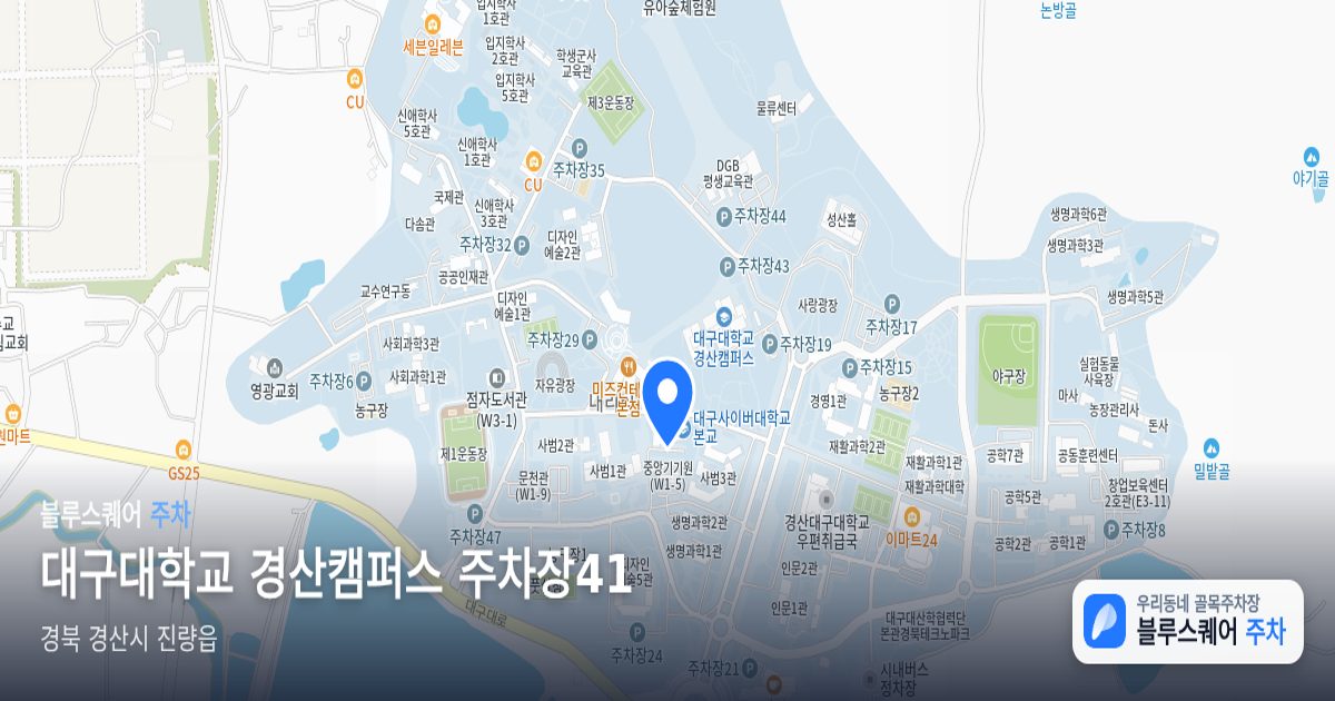대구대학교 경산캠퍼스 주차장41 위치 지도