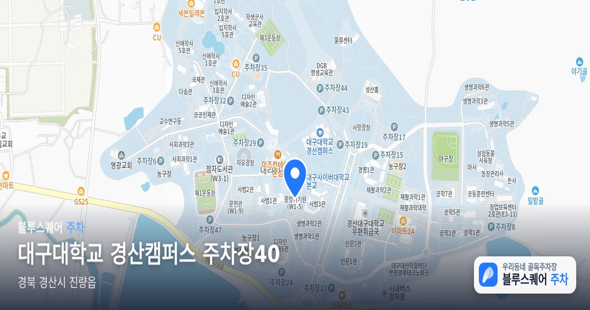 대구대학교 경산캠퍼스 주차장40 위치 지도
