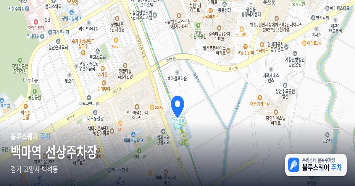 백마역 선상주차장 위치 지도