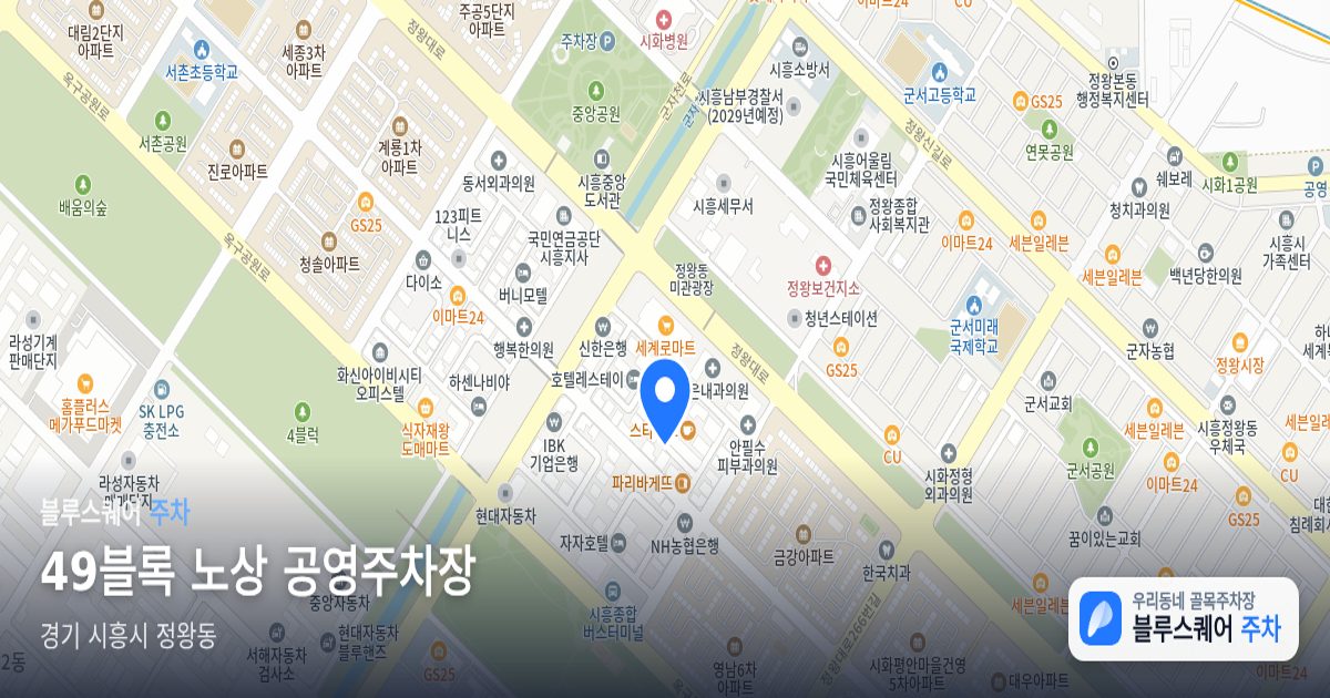 49블록 노상 공영주차장 위치 지도