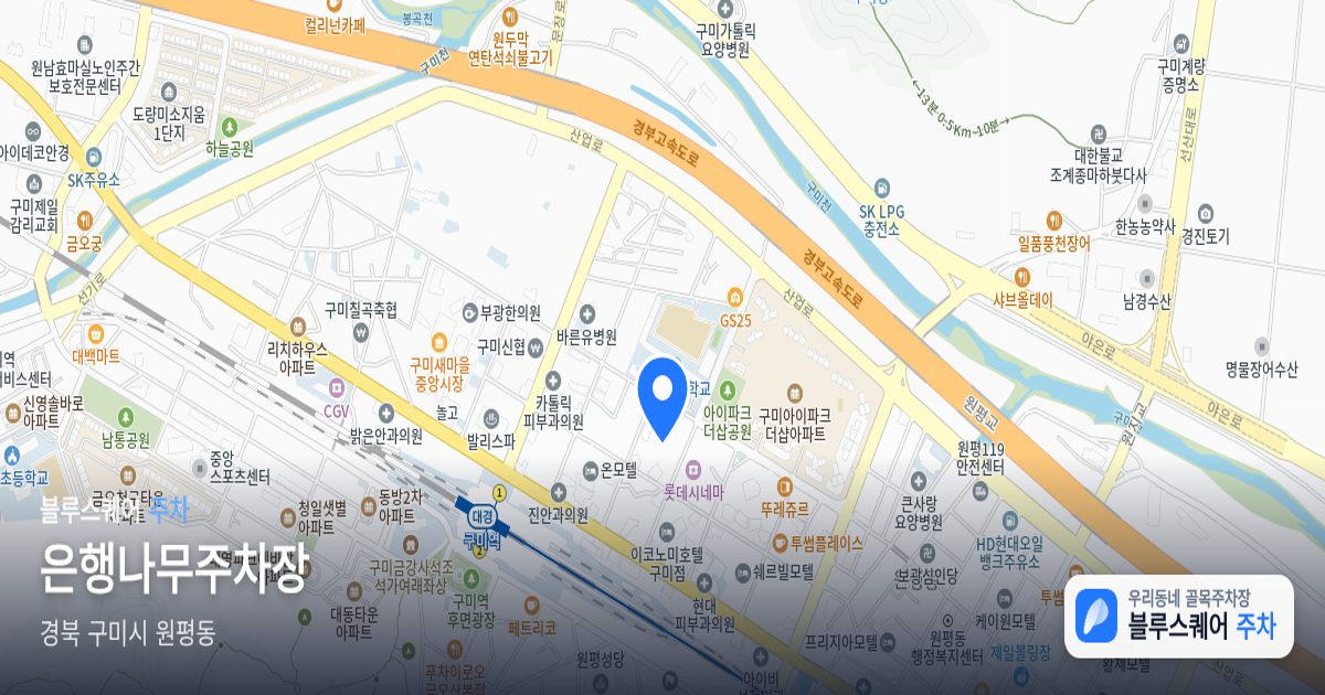 은행나무주차장 위치 지도