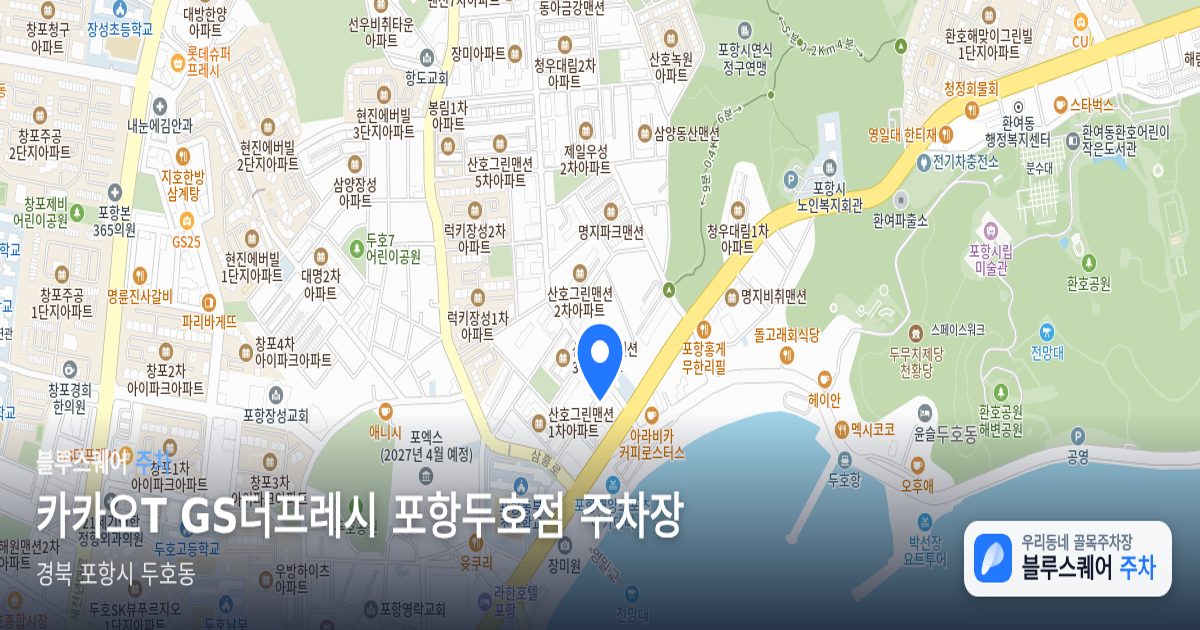 카카오T GS더프레시 포항두호점 주차장 위치 지도