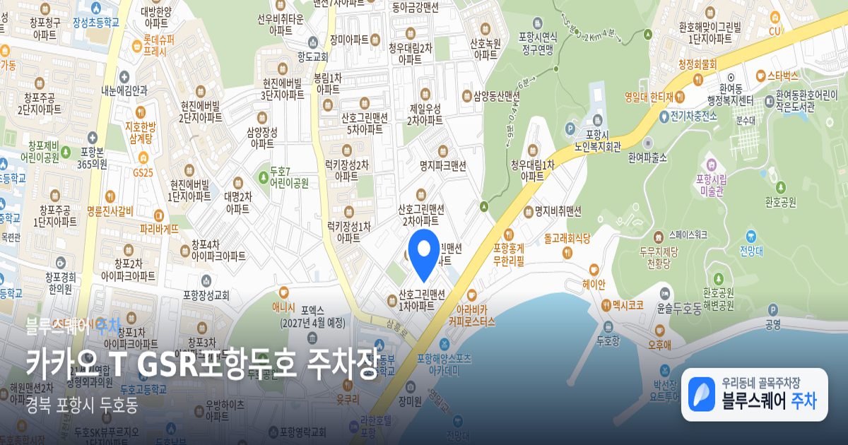 카카오 T GSR포항두호 주차장 위치 지도