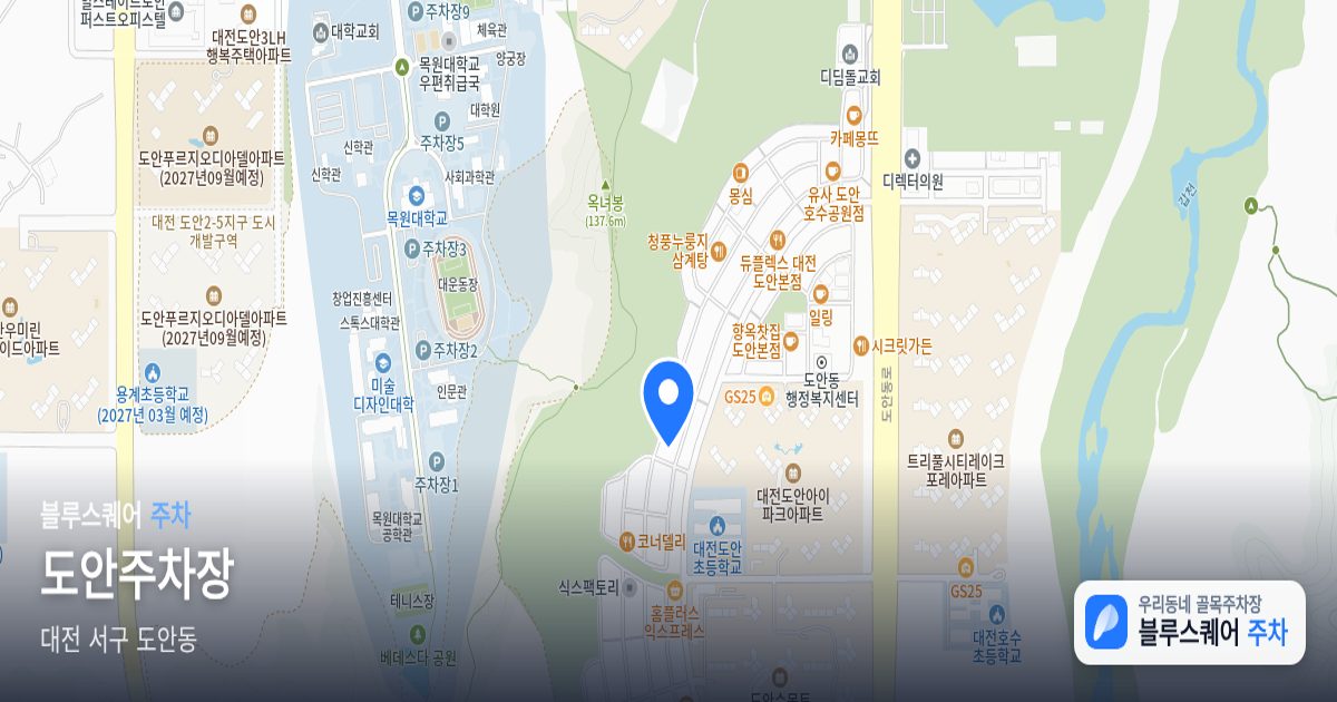 도안주차장 위치 지도