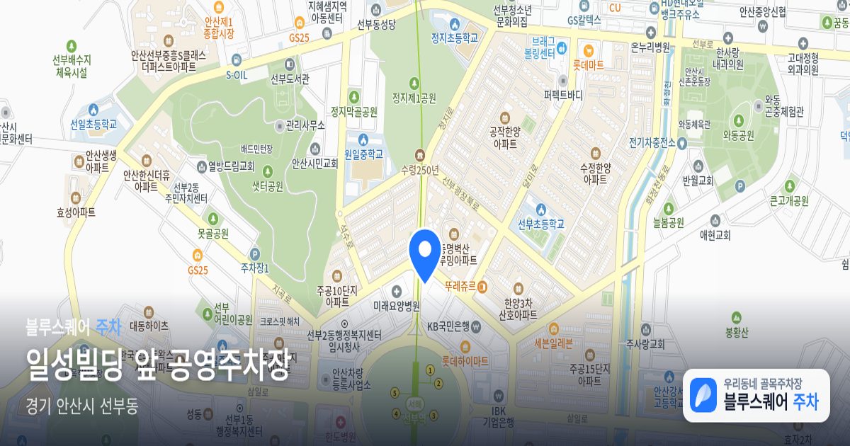 일성빌딩 앞 공영주차장 위치 지도