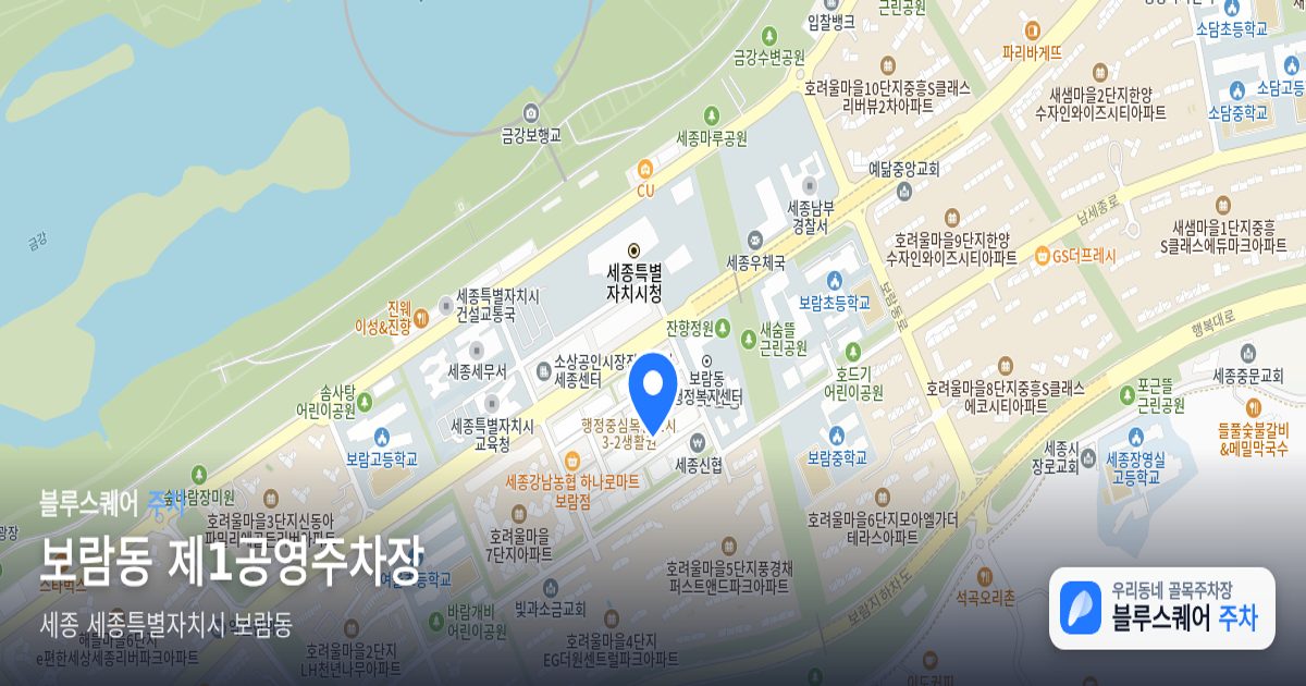 보람동 제1공영주차장 위치 지도