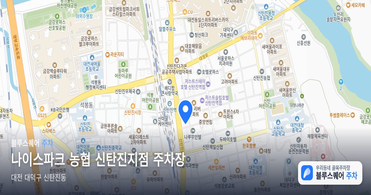 나이스파크 농협 신탄진지점 주차장 위치 지도