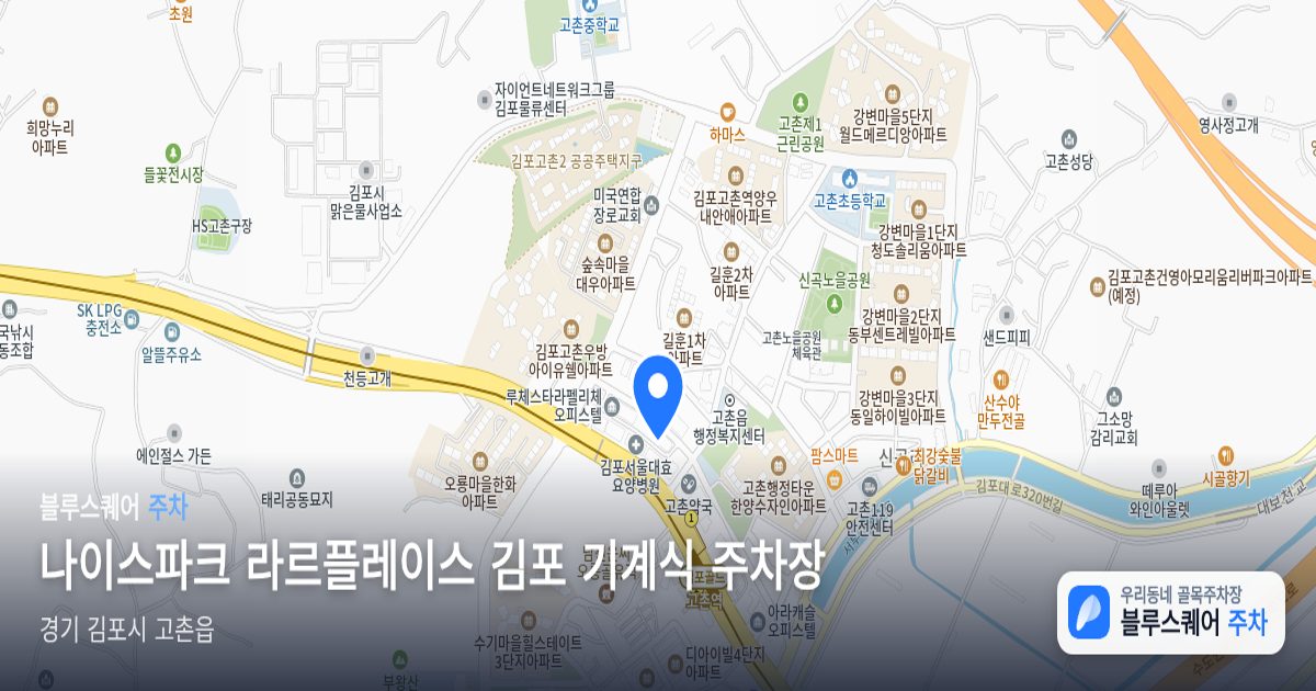 나이스파크 라르플레이스 김포 기계식 주차장 위치 지도