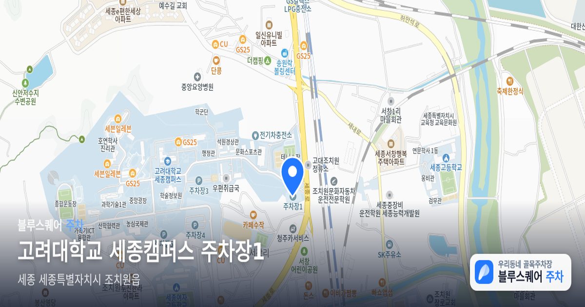 고려대학교 세종캠퍼스 주차장1 위치 지도