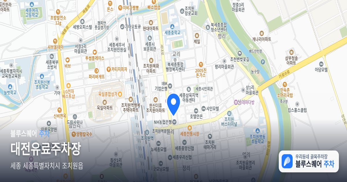 대전유료주차장 위치 지도