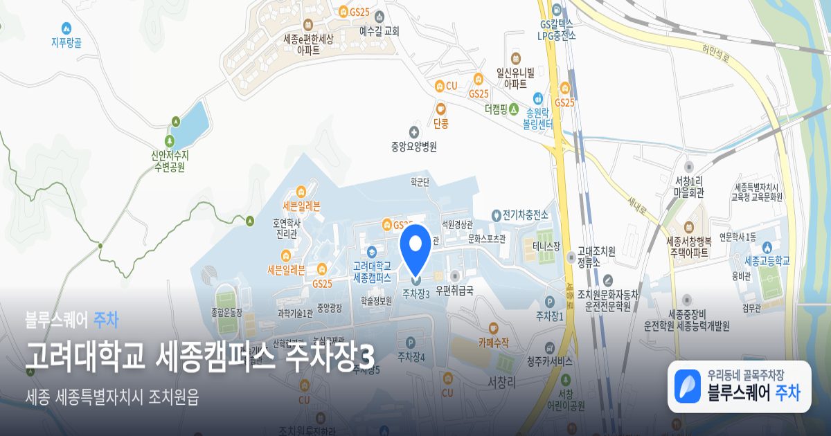 고려대학교 세종캠퍼스 주차장3 위치 지도