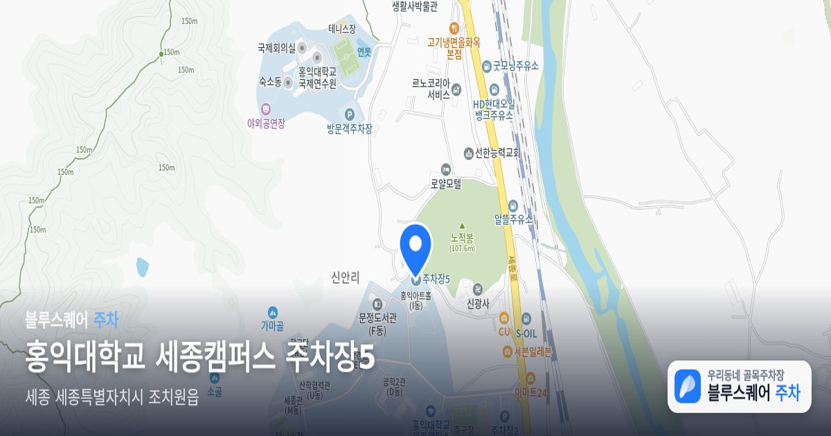 홍익대학교 세종캠퍼스 주차장5 위치 지도