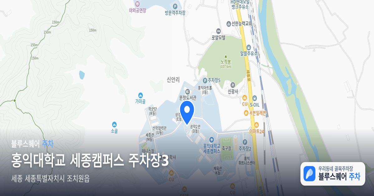 홍익대학교 세종캠퍼스 주차장3 위치 지도