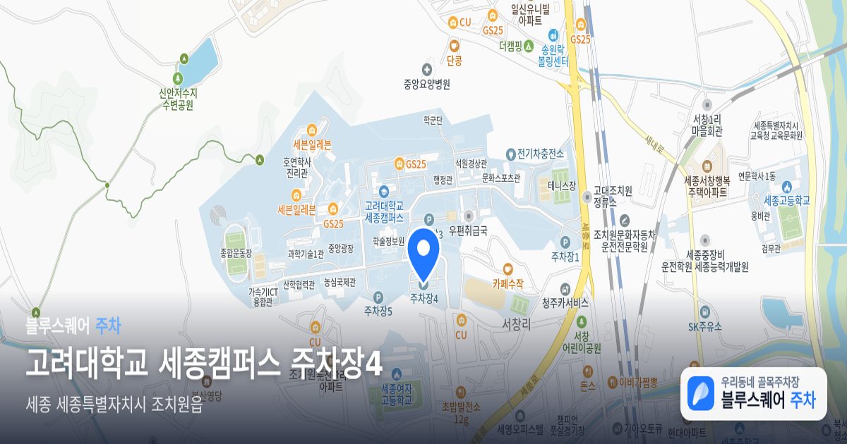 고려대학교 세종캠퍼스 주차장4 위치 지도