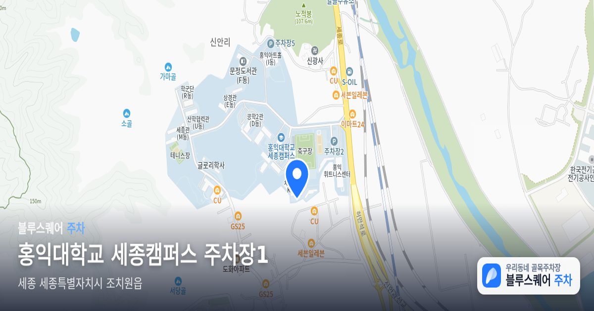 홍익대학교 세종캠퍼스 주차장1 위치 지도