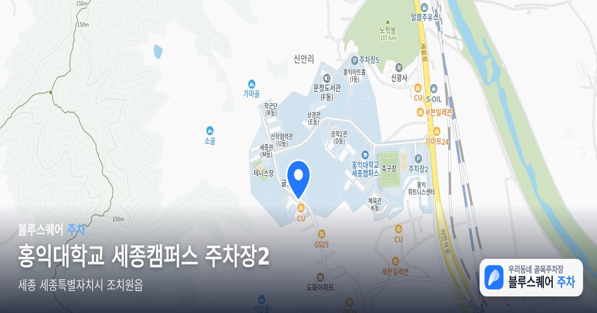 홍익대학교 세종캠퍼스 주차장2 위치 지도