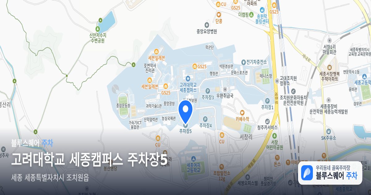 고려대학교 세종캠퍼스 주차장5 위치 지도