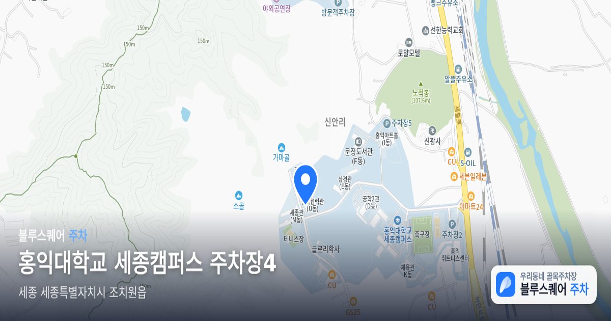 홍익대학교 세종캠퍼스 주차장4 위치 지도