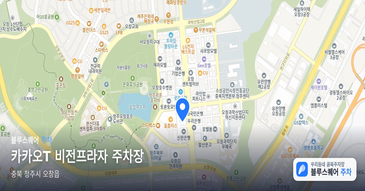 카카오T 비전프라자 주차장 위치 지도